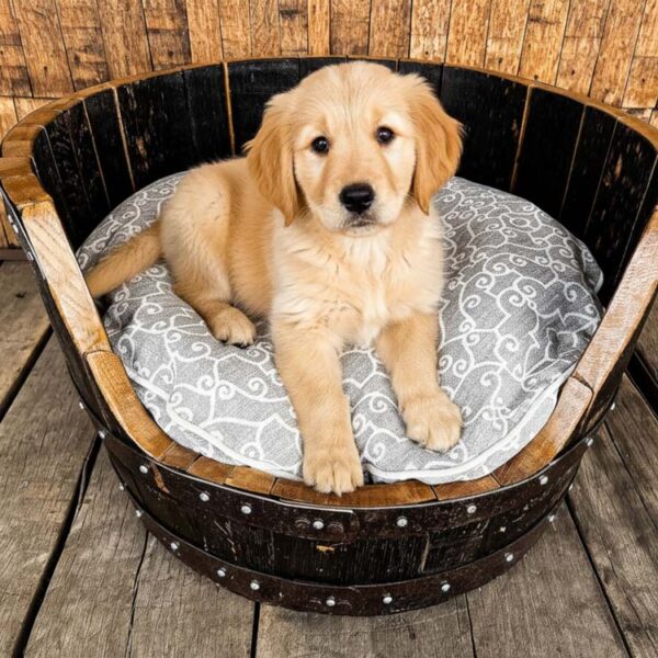 Bourbon Barrel Dog Bed -Gray Cushion
